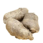 water yam – Global Food Village