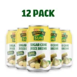 TropicalSunSugarCaneJuiceDrink310mlCan_1200x1200