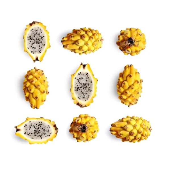 Yellow Dragon Fruit