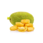 jackfruit-exoticfruitscouk-417432_grande
