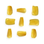 jackfruit-exoticfruitscouk-417432_grande