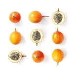 passionfruit-granadilla-exoticfruitscouk-163442