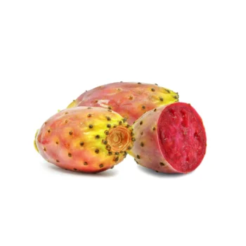 Prickly Pear – Cactus Fig