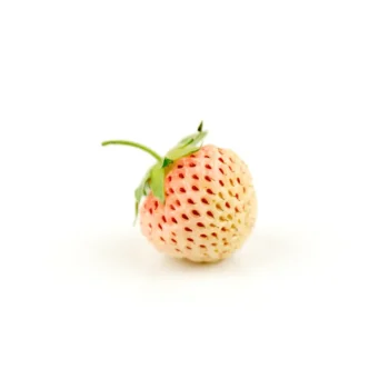 Strawberry Pineberry