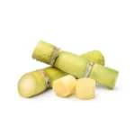 Sugar Cane Green